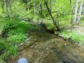DSC01554