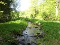 DSC01559