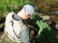 DSC01561