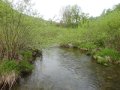 DSC01595