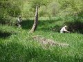 DSCF0342