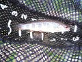 DSCF0347