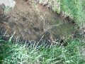 DSCF0351