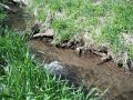 DSCF0354