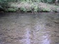 DSCF0357