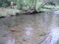 DSCF0361