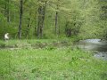 DSCF0364
