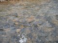 DSCF0383