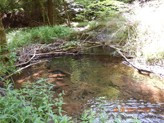 DSCN0407.jpg -                                Windfall Run