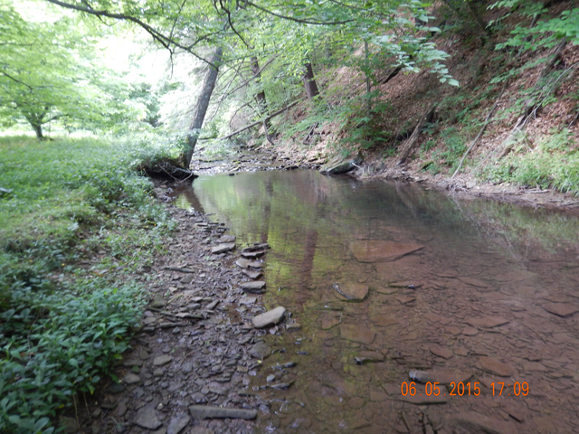 DSCN0410.jpg -                                