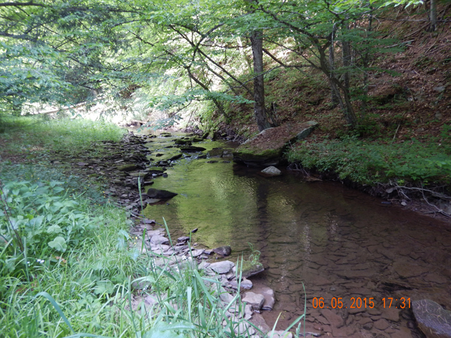DSCN0414.jpg -                                Aother location on Windfall.