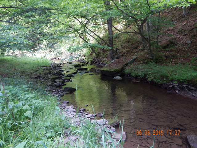 DSCN0416.jpg -                                