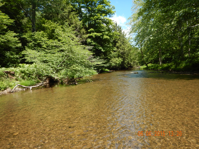DSCN0426.jpg -                                