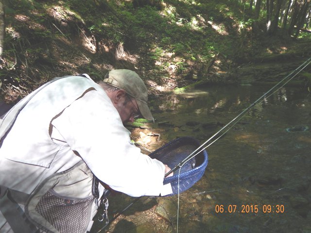 DSCN0433.jpg -                                