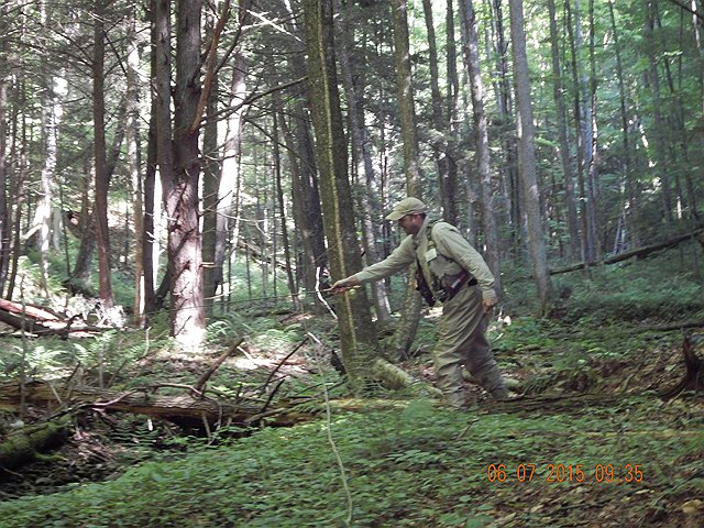 DSCN0436.jpg -                                