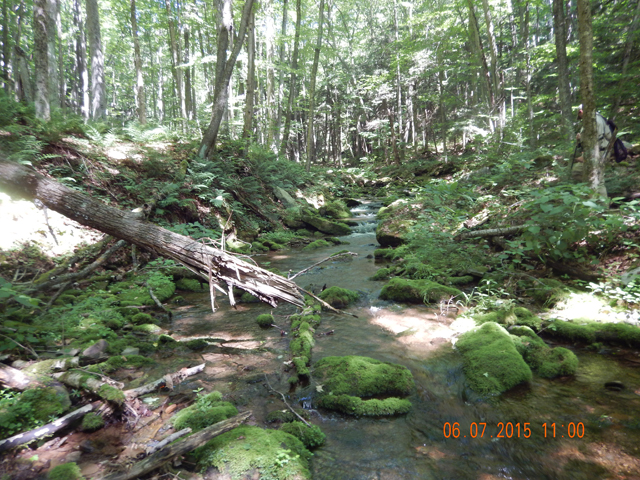 DSCN0442.jpg -                                