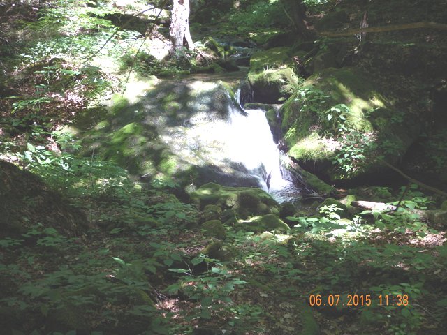 DSCN0443.jpg -                                
