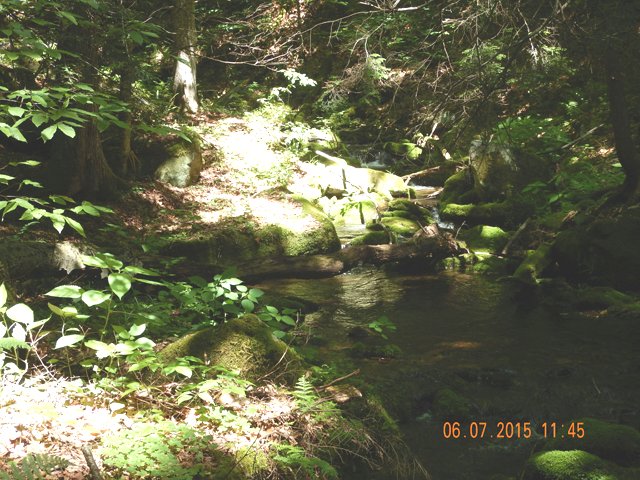 DSCN0445.jpg -                                