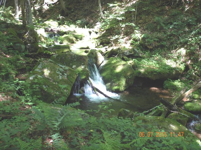 DSCN0446.jpg -                                