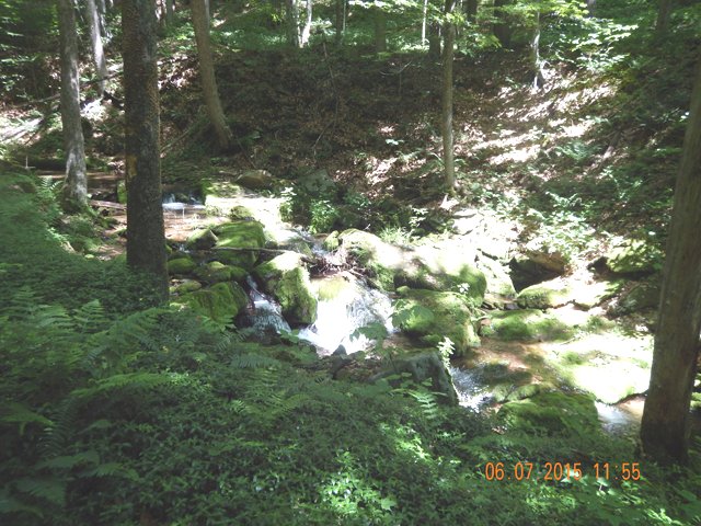 DSCN0447.jpg -                                