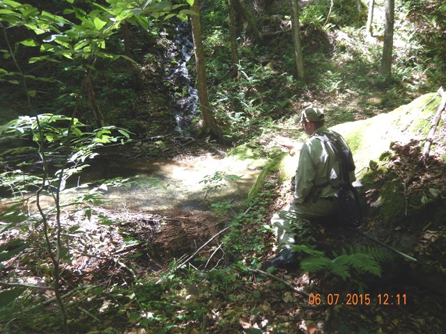 DSCN0451.jpg -                                