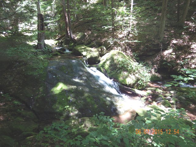 DSCN0453.jpg -                                