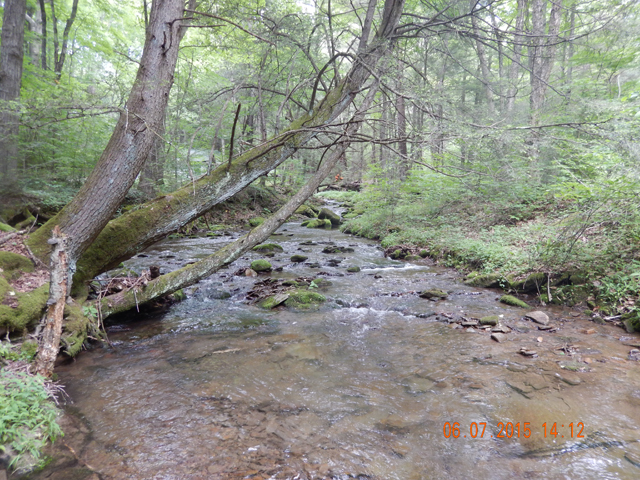 DSCN0455.jpg -                                