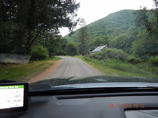 DSCN0458.jpg -                                