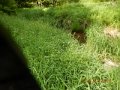DSCN0408