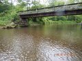 DSCN0419