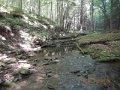 DSCN0432