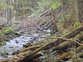 DSCN0439