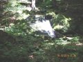 DSCN0443