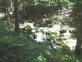 DSCN0447
