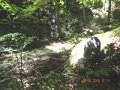 DSCN0452