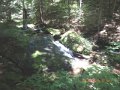 DSCN0453