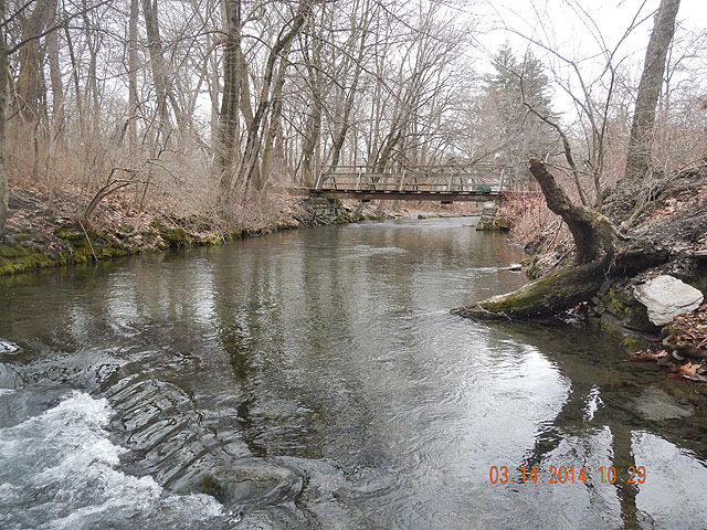 DSCN0418.jpg -                                Usually full of fish, the pool under the bridge had only one or two.