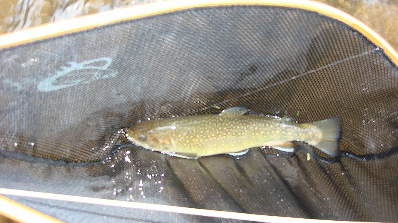 DSC02614.JPG