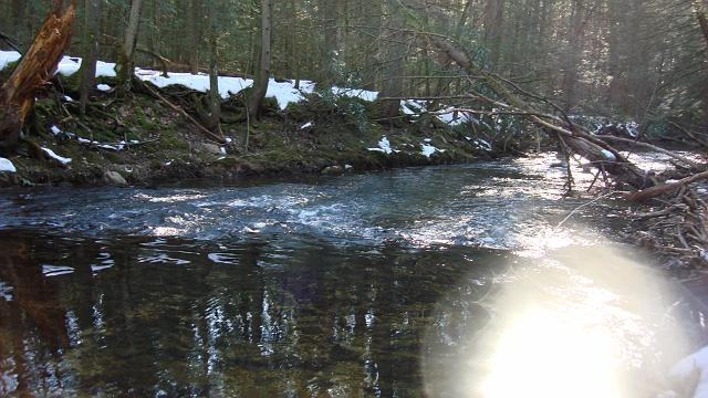 DSC02539.JPG