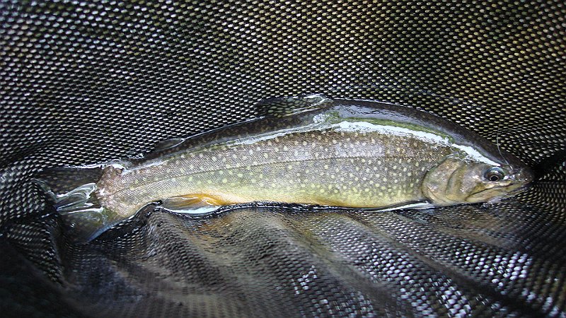 DSC02747.JPG