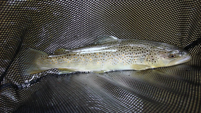DSC02749.JPG