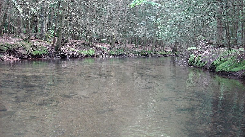 DSC02751.JPG