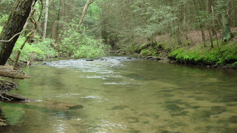 DSC02703.JPG