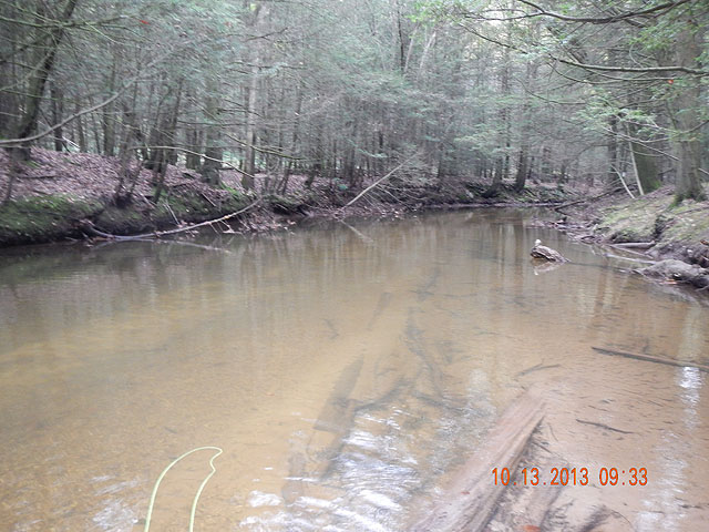 DSCN0158.jpg -                                Even after several inches of rain, Clarks is still low and slow...and clear.