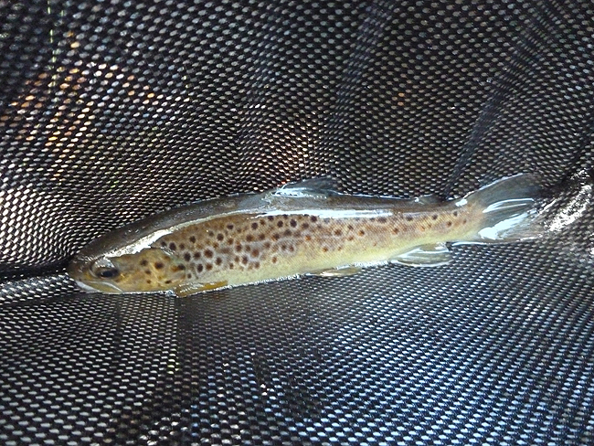 P1000416.JPG