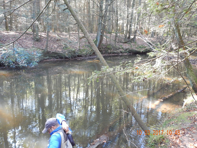 DSCN2699.jpg -                                Silt covers the bottom of the stream and you sink into the muck when entering the stream. A real shame.  A good stream gone bad.