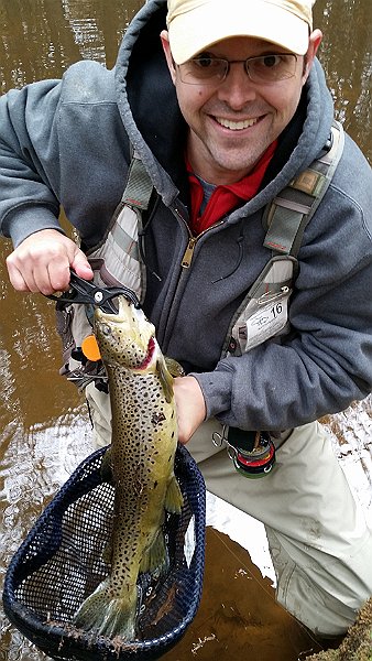 20161101_123242.jpg - Fish Commission must have put in breeders.