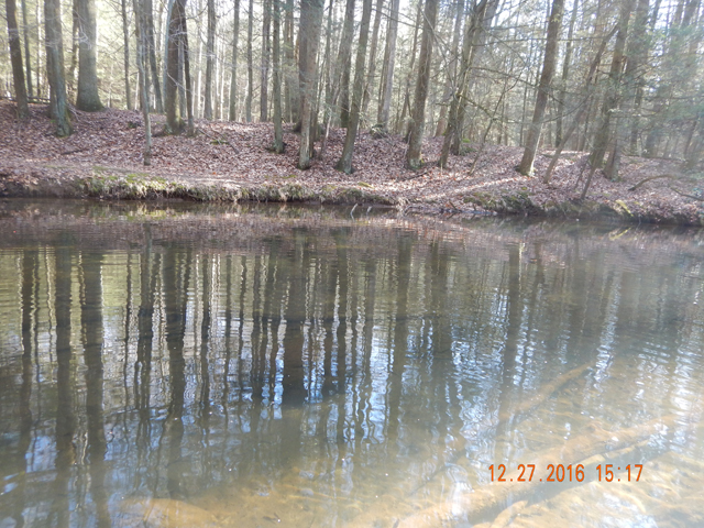 DSCN1814.jpg -                               We saw a few bugs and even a rise or two but none of the trout would take the drys we tried. 