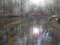 DSCN1816