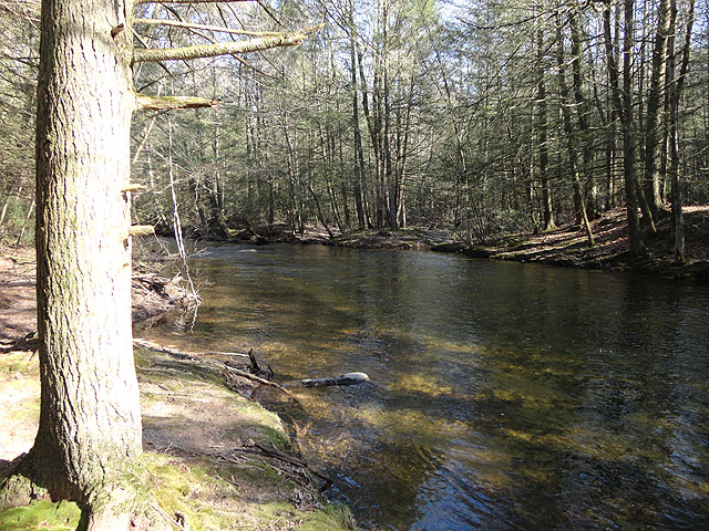 DSC00523.jpg -                                Waters perfect